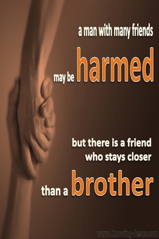 Proverbs 18:24 There Is A Friend (brown)